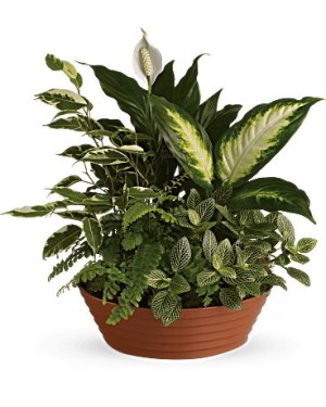 Basking Ridge Florist | Serenty Garden