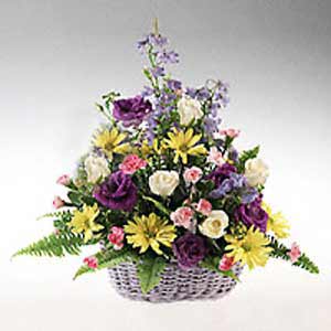 Basking Ridge Florist | Delphinium Delight