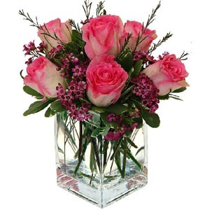 Morris HIlls Center | 6 Two Tone Roses