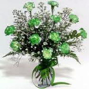 Basking Ridge Florist | Dz Green Carnations