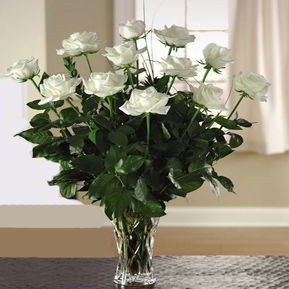 Basking Ridge Florist | 12 White Roses 