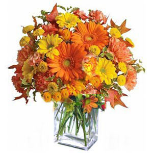 Basking Ridge Florist | Autumn Gathering