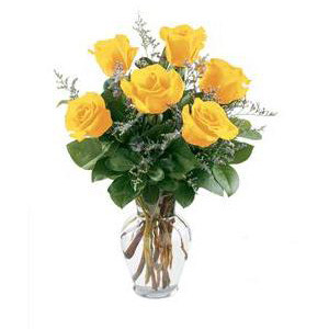 Basking Ridge Florist | 6 Yellow Roses