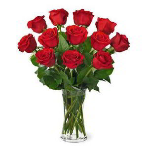 Spring Hills Morristown | Dz Red Roses